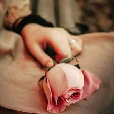 aysel_c_54's profile picture. Kişisel blog