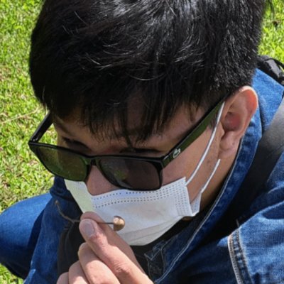ramones_sean's profile picture. Software Developer