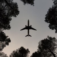 Elbamouss Fadika (@elbamoussf) 's Twitter Profile