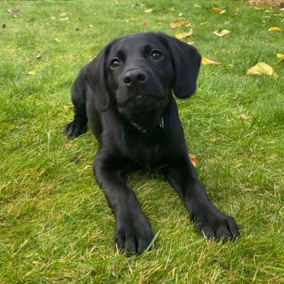 rivovskyy's profile picture. 17