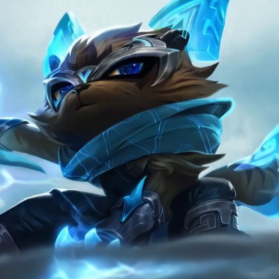 Don Bibz Profile