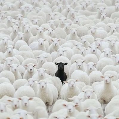 Sabo_jr01's profile picture. 