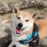 ルビー (@rubychan_2017) 's Twitter Profile