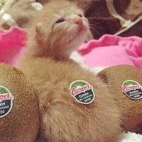 pawla (@pawlanomalvada) 's Twitter Profile