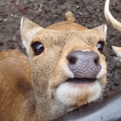 tukichiさんのプロフィール画像