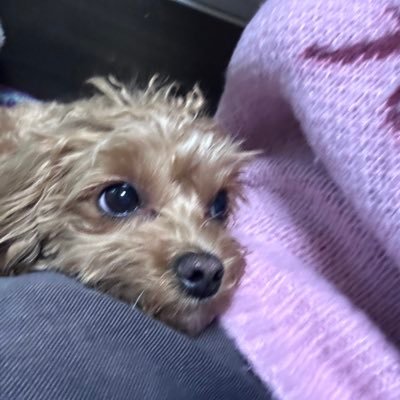 まさんのプロフィール画像