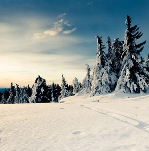 dalescarter's profile picture. 