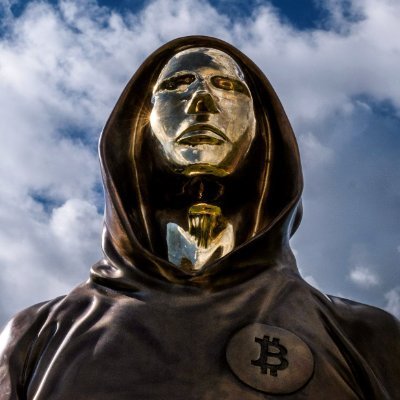 NakamotoGov's profile picture. If you need my identity, you’ve missed the idea! #BTC
