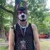 borqk 🛫MIR (@borkbarkbark) Twitter profile photo borqk 🛫MIR (@borkbarkbark) Twitter profile photo