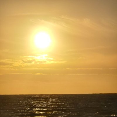 GraceGrace40519's profile picture. crypto enthusiast, no porn, only go to X to explore the truth and learn from like-minded people Share some investment experience