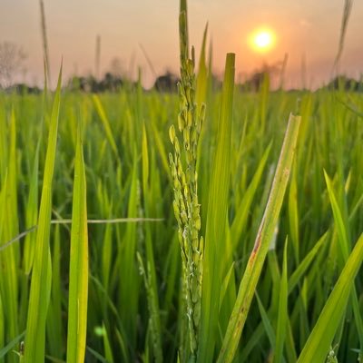 Thn77578Hn's profile picture. 