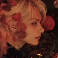 🦄 (@wjhscloud) 's Twitter Profile