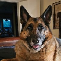JAEL2222 (@dpaz2222) 's Twitter Profile