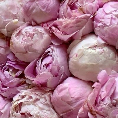 kissitbetter02's profile picture. 