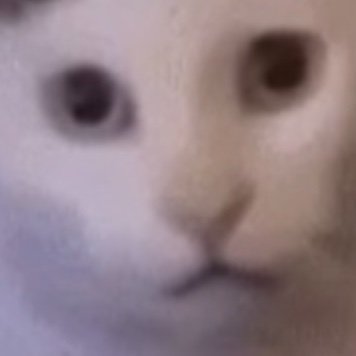 Neoguri603's profile picture. 21 / 이상성욕