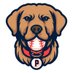 Omaha Pacesetters 2030 (@pacesetters30) Twitter profile photo Omaha Pacesetters 2030 (@pacesetters30) Twitter profile photo