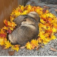 cool (@kevin891030) 's Twitter Profile