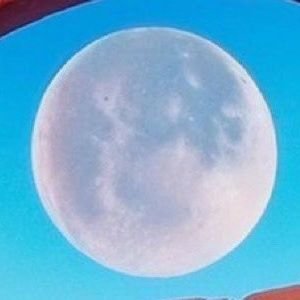 albert_job11's profile picture. Crypto influencer