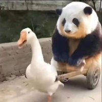 Lunf23 (@lunf2324) 's Twitter Profile Photo