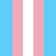 Daily Trans content ❤️ !! DM FOR PROMO $$. I own no content, DM for content removal !! Tip for extra content!!