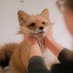 🦊🌸กูโสดค่ะ อีควาย | 🔞 Patreon ⛩️🌸 (@kitsunekumichan) Twitter profile photo 🦊🌸กูโสดค่ะ อีควาย | 🔞 Patreon ⛩️🌸 (@kitsunekumichan) Twitter profile photo