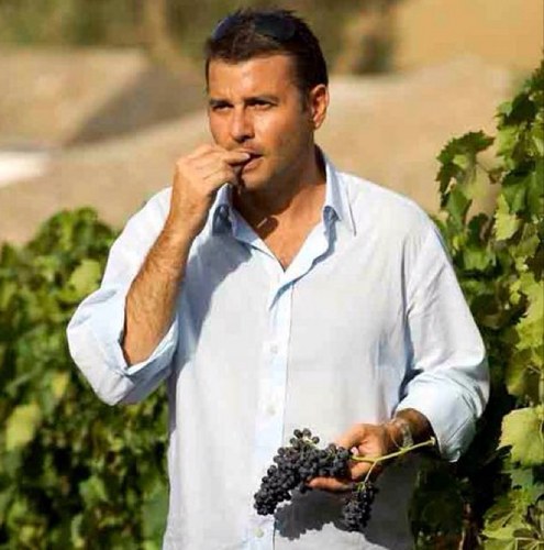 FSireci's profile picture. 