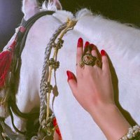પારિજાત🌼 (@miracle_909) 's Twitter Profile