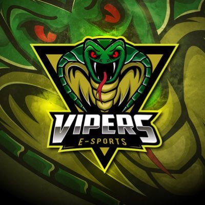 Vipers Esports PS5 GM : @paddem1986 and 🏆 jump in our discord if would like to join our expanding team https://t.co/ryzRBieEoZ