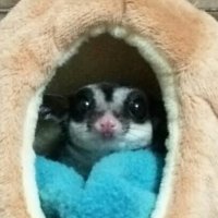 Eve_Adam_Apple (@eve_adam_apple) 's Twitter Profile