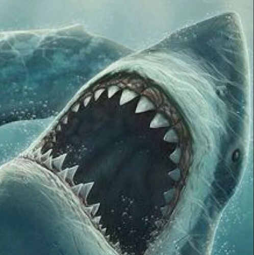 sexysquiz's profile picture. 