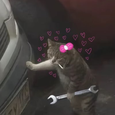 izk4aa's profile picture. gauchiasse