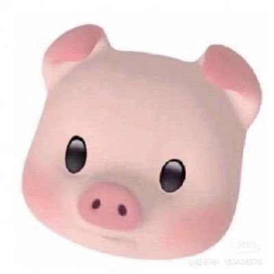 cE1OBjHRIY4Pnu5's profile picture. 