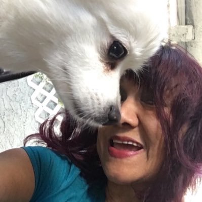 dollydeleon's profile picture. We ❤President Donald J. Trump & First Lady Melania & their Family God Bless America 🇺🇸 Note to Liberals: STOP the HATE🙏#DJTwon2020🇺🇸#DJT2024Landslide