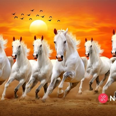 Dkumar0125's profile picture. Fun 😊|Cricket 🏏| Nature 🍄‍🟫| Animal🦒|Bird🐦|

https://t.co/K5MIfORlKu