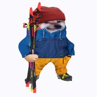 MarkoT (@ccskiingfella) 's Twitter Profile