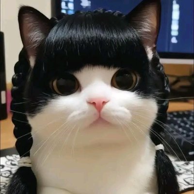 WagraSailangxxx's profile picture. 