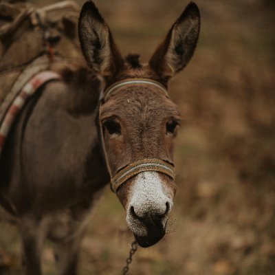 UshaK1857's profile picture. 🌹🌹 என்னை பார் யோகம் வரும் ❤️❤️🙏🙏