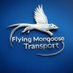 Flying Mongoose Transport (@adamrlakatos) Twitter profile photo Flying Mongoose Transport (@adamrlakatos) Twitter profile photo