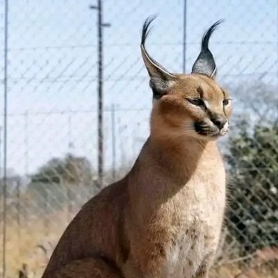 33reg61838's profile picture. 