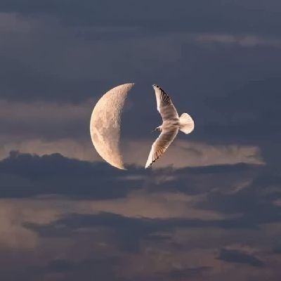 Peter9773081826's profile picture. 