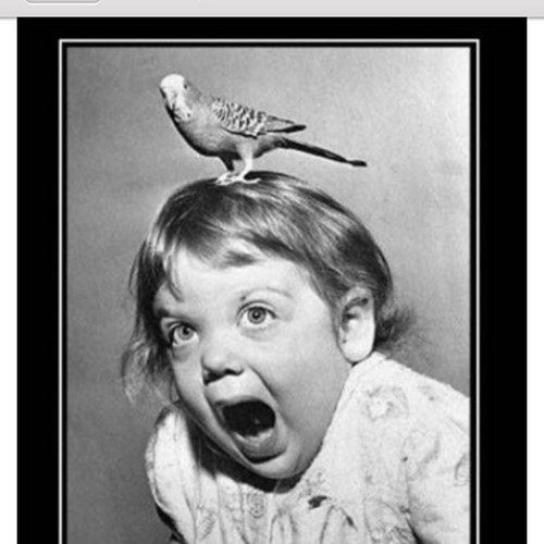 becker_angie's profile picture. 