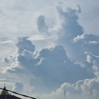 Reza (@rezaafani19) 's Twitter Profile