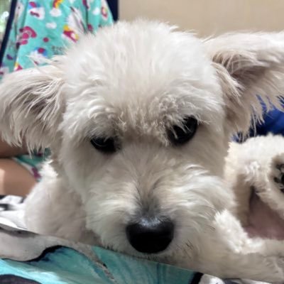 diyem's profile picture. 