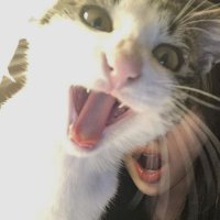 🙊 (@tn77_io) 's Twitter Profile