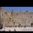 BackingIsrael's profile image