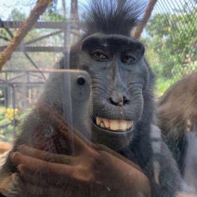 Qka9X8DqPp95743's profile picture. 