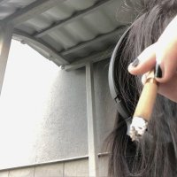 niyohara (@niyoharafuqq) 's Twitter Profile