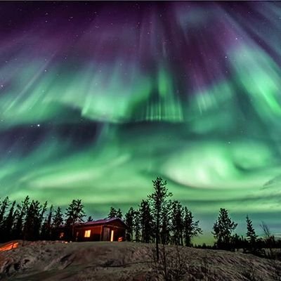 watasonnnn's profile picture. 