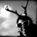 deer (@deer) Twitter profile photo deer (@deer) Twitter profile photo