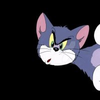 αทsαri ααsнir (@cosmosndfries) 's Twitter Profile